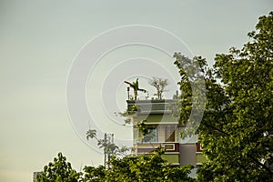 Cloudy sky green tree & a house