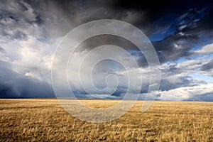 Cloudy sky and meadow photo