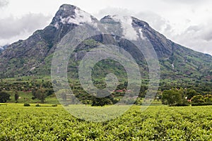 Cloudy sky with Mount Mulanje and tea plantations