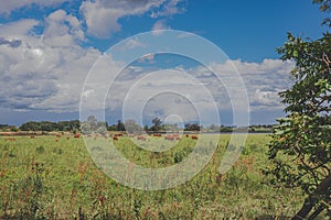 Cloudy Sky and Nature Landscape During Spring