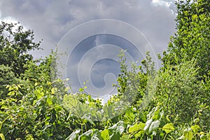 Cloudy Sky and Nature Landscape During Spring