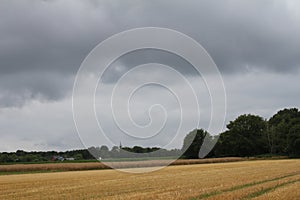 Cloudy sky over the agricultural field. After harvesting. Tree canopy.