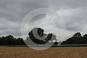 Cloudy sky over the agricultural field. After harvesting. Tree silhouette.