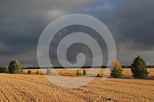 cloudy sky over the field.
