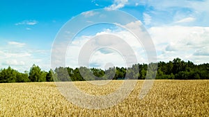 Cloudy sky over field in Kashubia