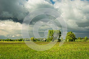 Cloudy sky over a green rural landscape