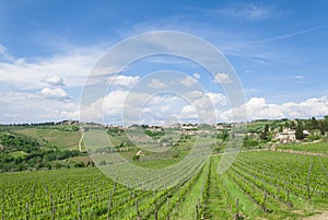 Cloudy sky in tuscan vineyard