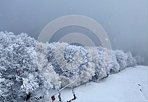 Cloudy snowing day at ski resort Vermont