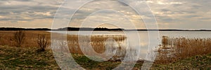 cloudy spring day. wide panoramic view from the grassy coast to a large calm lake with coastal reeds and the opposite shore under photo