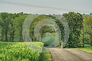 Cloudy spring in Moravia