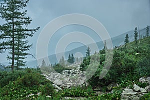 Cloudy summer day in the mountains. Forest, stones, rain