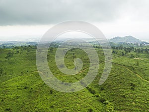 Cloudy tea plantation in indonesia located in ciater west java