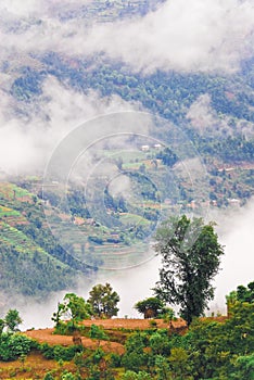 Cloudy Tibetan landscape