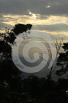 Cloudy valley seen thru forest of trees