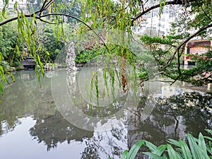 Cloudy view of the Lou Lim Ioc Garden