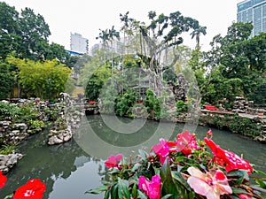 Cloudy view of the Lou Lim Ioc Garden