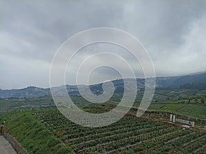 cloudy view plateau on the hill