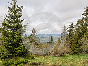 Cloudy view of vogezen past trees