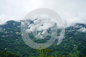 Cloudy Weather in Mountain of North Bengal 6