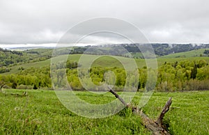 Cloudy weather in the mountains, Ukrainian Carpathians