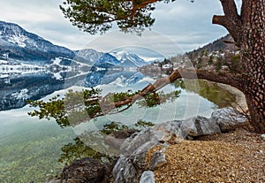 Cloudy winter Alpine  lake Grundlsee view Austria with big pine tree and fantastic pattern-reflection on the water surface and