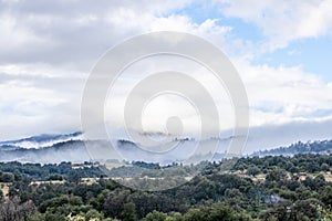 Cloulds and mist over rolling hills in spring time, coastal live oaks in Julian California landscape