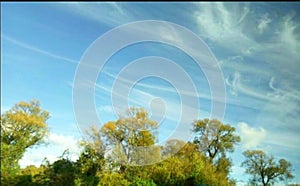 Clound like heart Love blue sky view background Meadow tree phot on the way