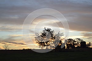 Clound tree witer photo