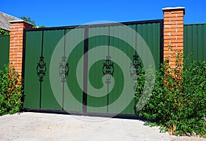 Clouse up Green Metal Profil Gate with Decorative Gate and Door in Old Stiletto Style