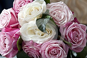 Clouse-up of white roses and pink mottled
