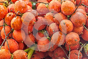 clouseup betel nut