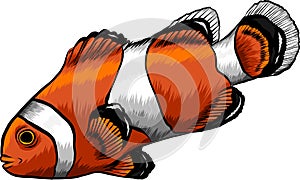 Clouw marine tropical fish. Vector illustration. white background. Angelfish.