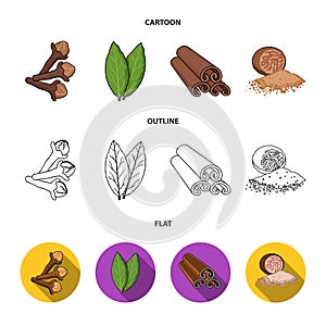 Clove, bay leaf, nutmeg, cinnamon.Herbs and spices set collection icons in cartoon,outline,flat style vector symbol