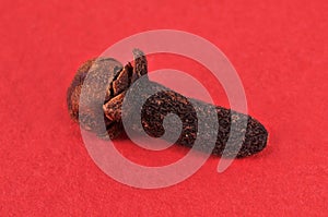 Clove close-up on red background