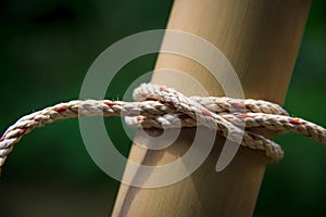 Clove Hitch Knot