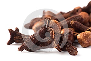 Clove macro Syzygium aromaticum