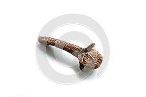 Clove on white background