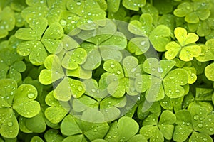 Clover Backgrounds