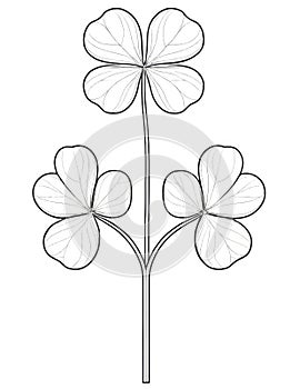 Clover Charm Coloring Page: Delight in a Singular Symbol