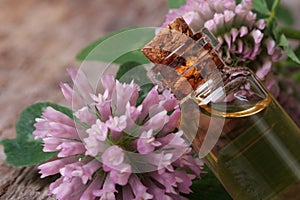 Clover extract in a bottle nd flowers macro horizontal