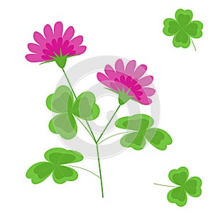 Clover with flowers flat vector isolated image on white background.