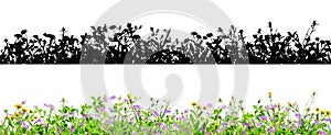 Clover flowers and grass isolated