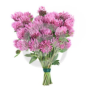 Clover Herb Flower Posy