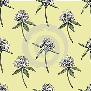 Clover leaf and flowers hand drawn seamless pattern graphic illustration. Happy Saint Patricks Day.