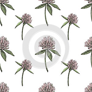 Clover leaf and flowers hand drawn seamless pattern graphic illustration. Happy Saint Patricks Day.