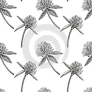 Clover leaf and flowers hand drawn seamless pattern graphic illustration. Happy Saint Patricks Day.