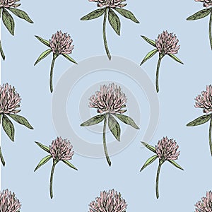 Clover leaf and flowers hand drawn seamless pattern graphic illustration. Happy Saint Patricks Day.