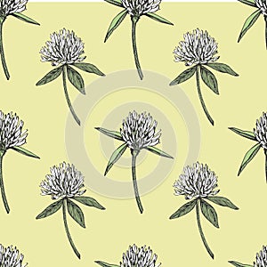 Clover leaf and flowers hand drawn seamless pattern graphic illustration. Happy Saint Patricks Day.