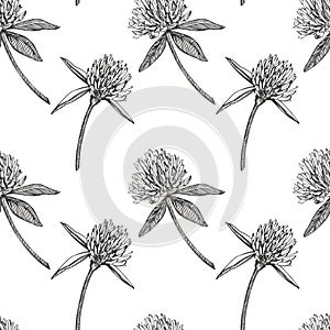 Clover leaf and flowers hand drawn seamless pattern graphic illustration. Happy Saint Patricks Day.