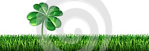 Clover Leaf On Grass Isolated